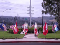 Flags along a sidewalk.