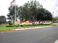 Flags on the grass along a road.
