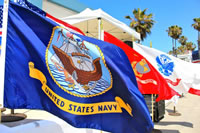 Military flag display with palm trees in the background