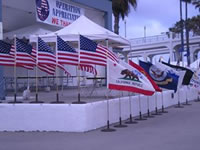 Flags at a civic event